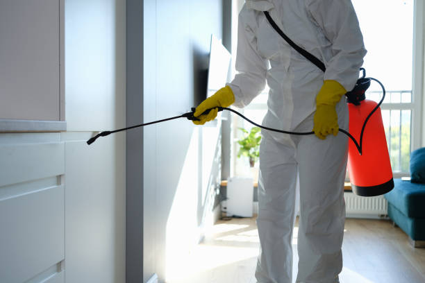 Best Mold Remediation for Specific Building Types in Prices Fork, VA