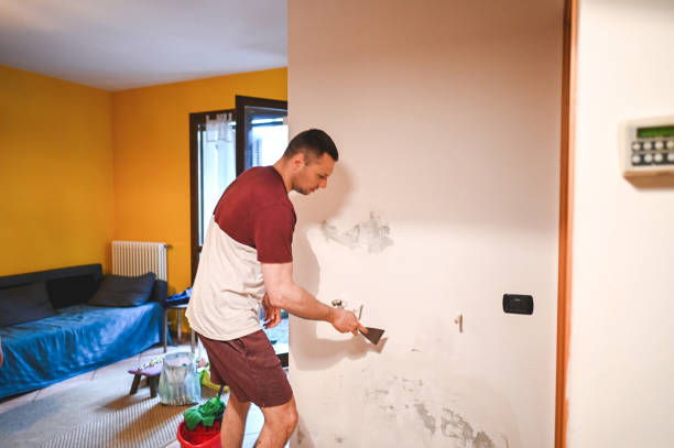 Best Mold Testing and Inspection Services in Prices Fork, VA